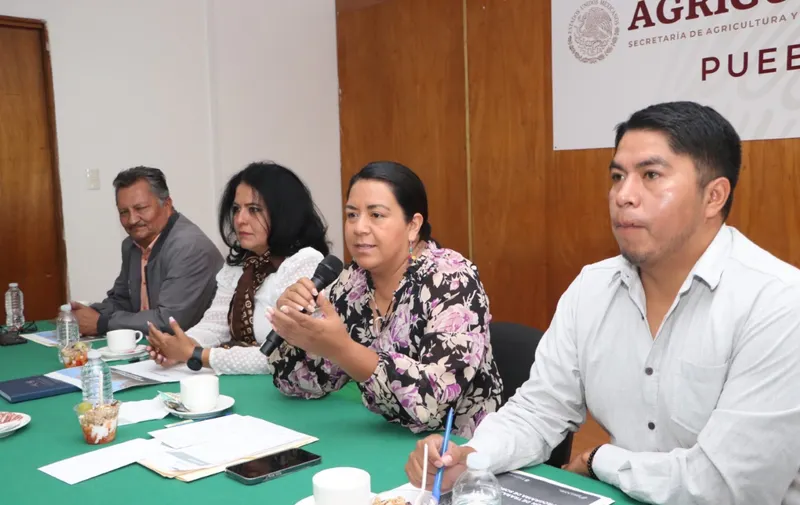 Impulsa gobierno de Sergio Salomón producción de sorgo en Puebla
