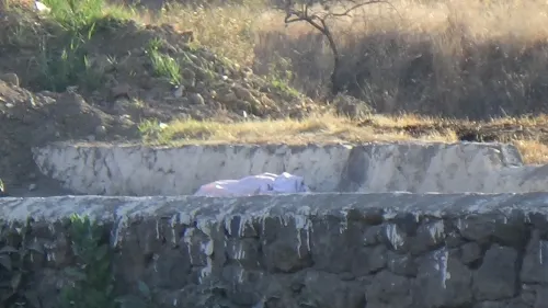 Localizan un embolsado en límites con Tlaxcala