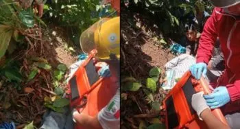 Camioneta cae a barranco en Zacatlán; hay un muerto y tres heridos, entre ellos dos menores