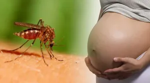 En menos de un mes se disparan casos por zika