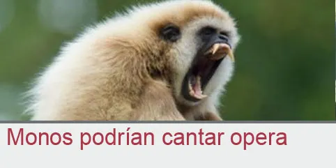 Monos podrían cantar opera