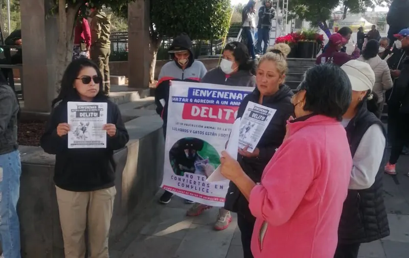 Manifestación por Waffle