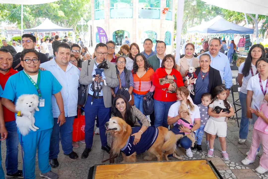 Huellitas de Amor Texmelucan 2025
