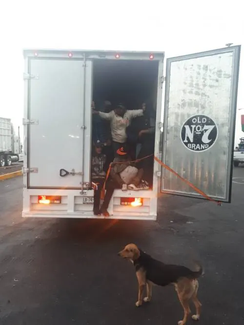 Llegan a Puebla más integrantes  de la Caravana Migrante