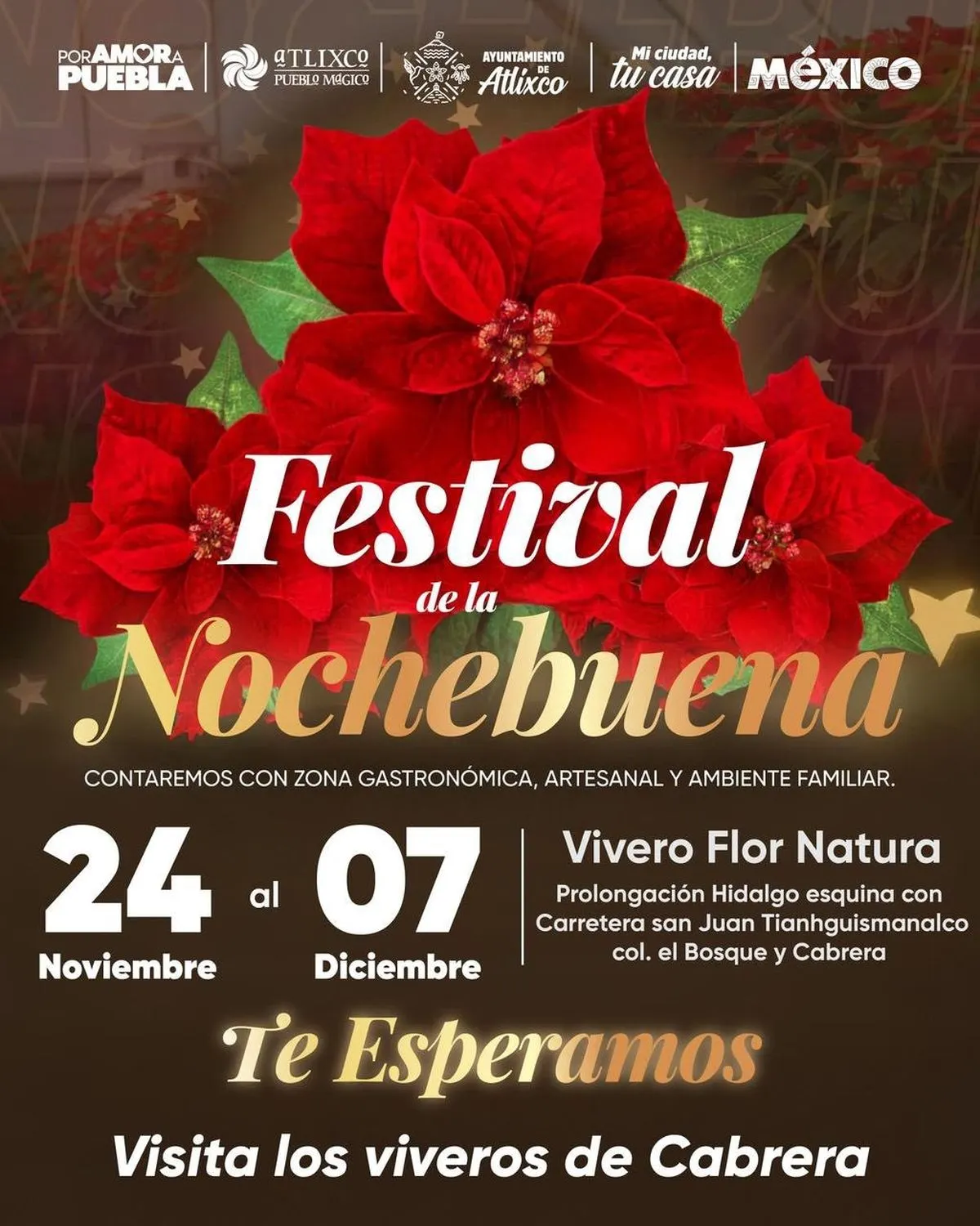 atlixco-festival-de-la-nochebuena-25
