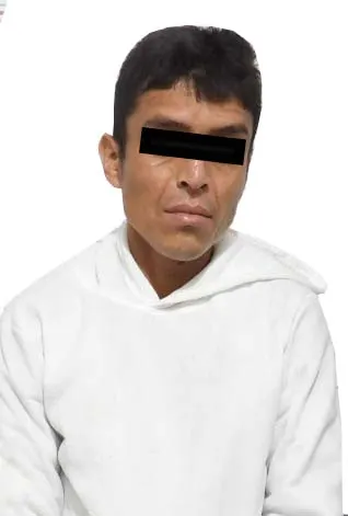 Imagen del artículo