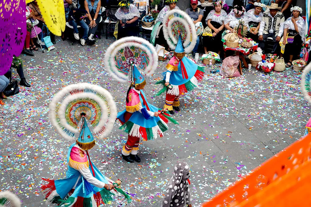 Pueblos Originarios Danzas