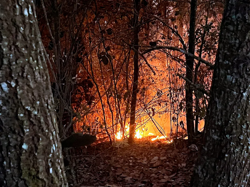 Incendio Forestal Zacatlan