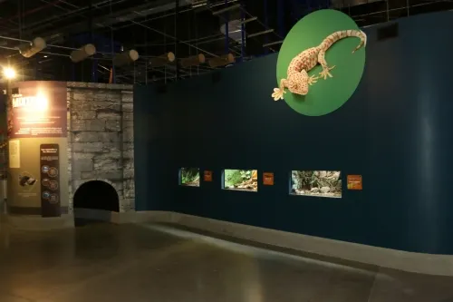Acuario Michin se dice listo para reiniciar actividades con “Sana Distancia”