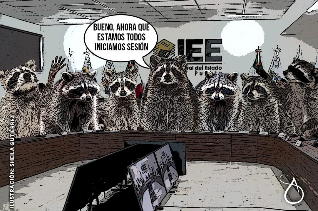 Los consejeros del IEE poco abonan a la certeza y credibilidad de los cómputos electorales finales