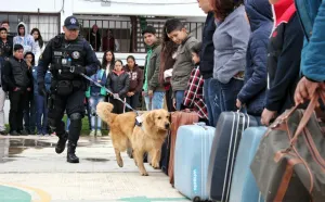 Unidad canina realizó exhibición en Chignahuapan