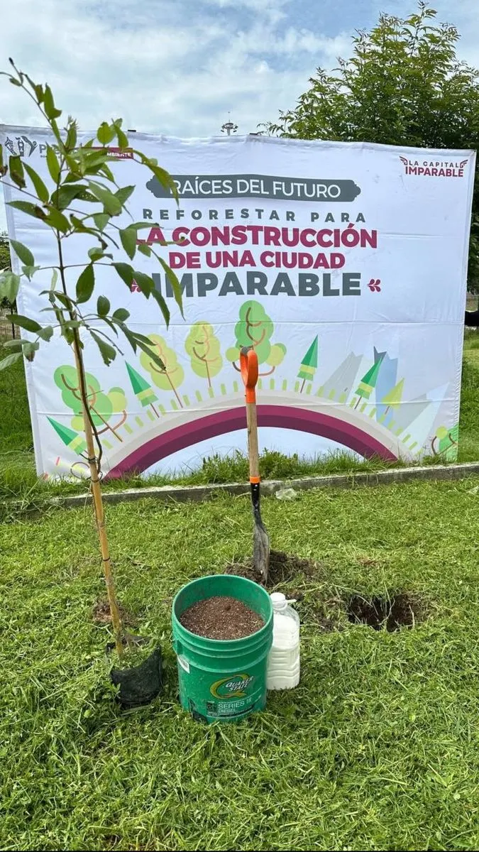ayto-pue-plantacion-arboles-reforestacion