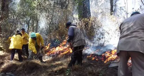 Brigadas trabajan para sofocar incendio forestal en Nopalucan-Acajete