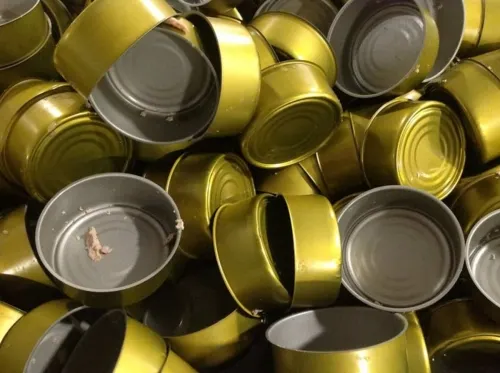Descubren carne de delfín en latas de atún en México