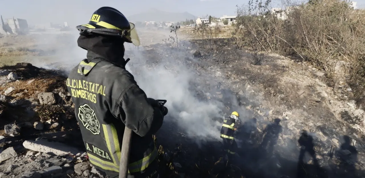 Incendios forestales