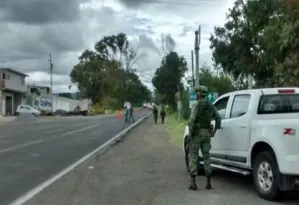Clausura Profepa aserraderos y asegura madera ilegal en el Izta-Popo