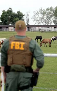 Serán vendidos caballos confiscados a Los Zetas en EU
