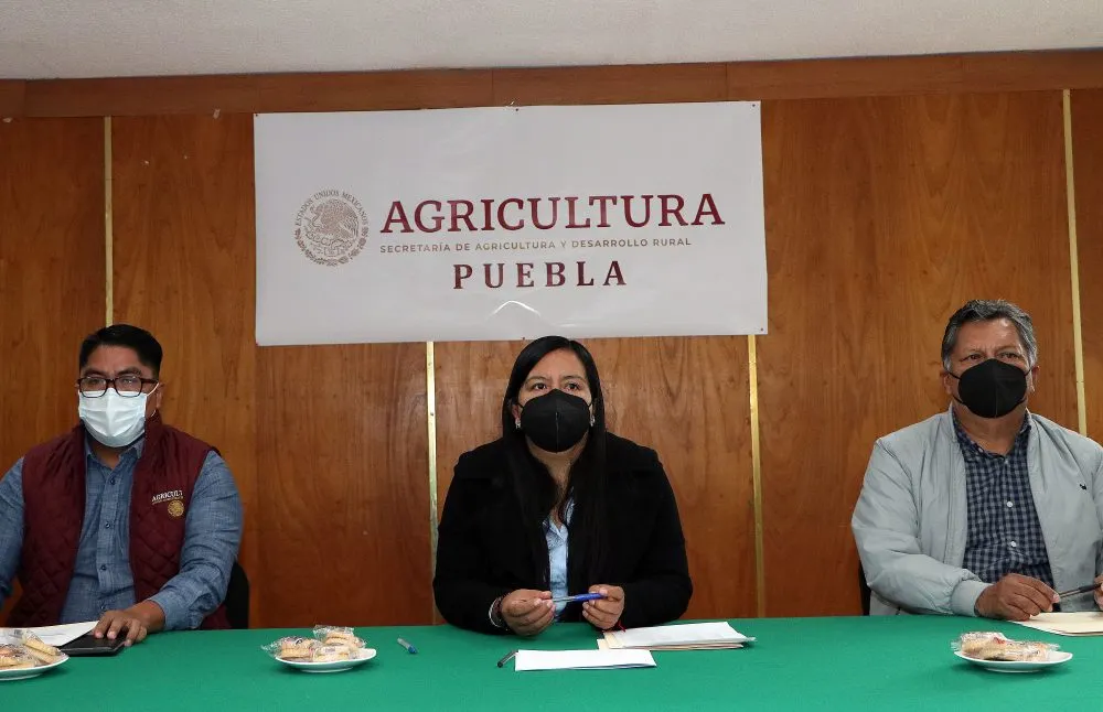 Contará campo poblano con profesionales para acompañamiento técnico a productores