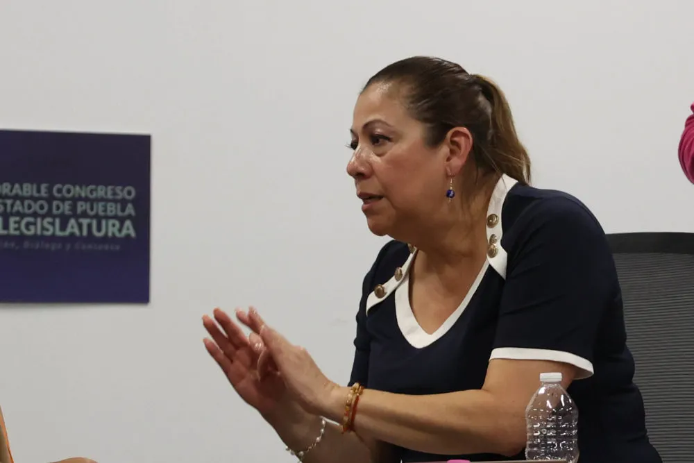 Congreso de Puebla ajustará el artículo 480 sobre ciberasedio antes del 15 de julio