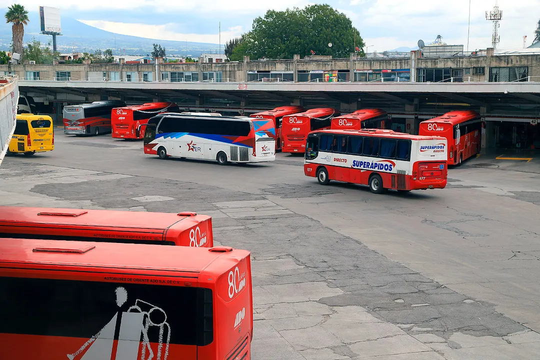 Capu Autobuses Vacaciones
