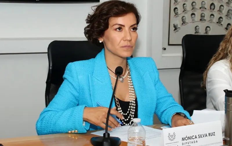 Mónica Silva al Senado; Liz, suplente