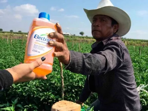 PiSA Farmacéutica incrementa donativo de kits de protección y suero