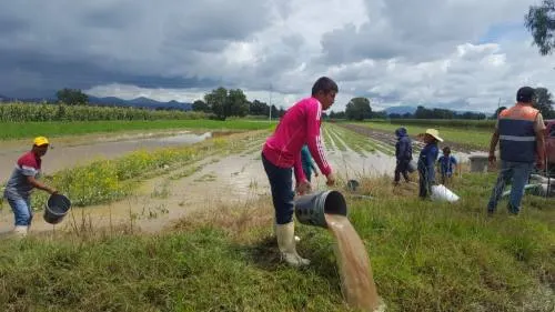 Ejército implementó Plan DNIII en Tepeaca por inundaciones en viviendas y cultivos