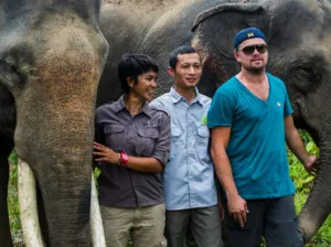 Leonardo DiCaprio viaja a la selva de Indonesia