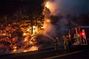 Fuego consume 60 mil hectáreas de bosque en California