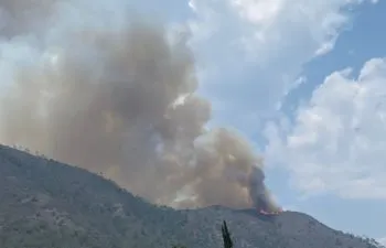 Incendios forestales no se apagan con bloqueos carreteros ni amenazas: Céspedes Peregrina