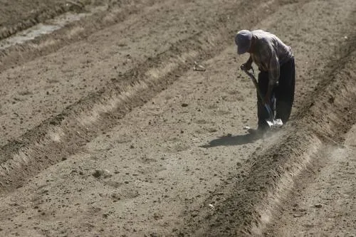Sierra Nororiental y la Mixteca Poblana con más daños en el campo por la sequía: Conagua
