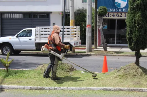 El Gobierno de la Ciudad continúa con labores en Parques y Jardines