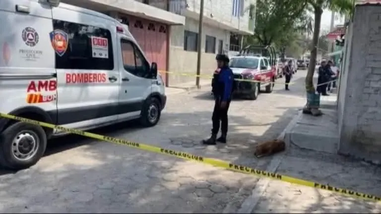 Asesinan a puñaladas a joven embarazada de 21 años en Santa María Coapan, Tehuacán