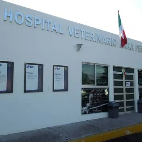 Hospital Veterinario de Pequeñas Especies de la BUAP recibió distintivo de Calidad