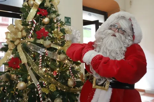 No tires tu arbolito, en enero arranca el programa â€œVerde Navidad”