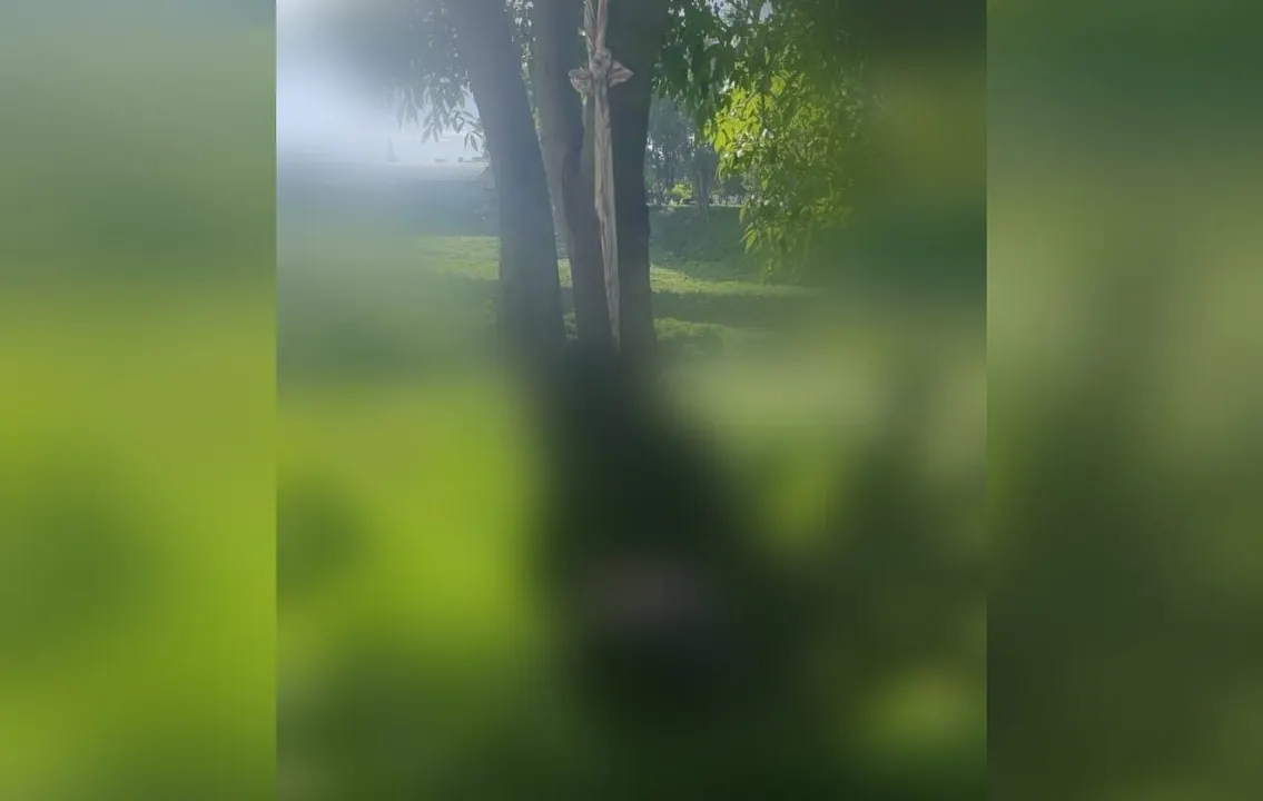 Presunto suicidioen la colonia Cuauhtémoc