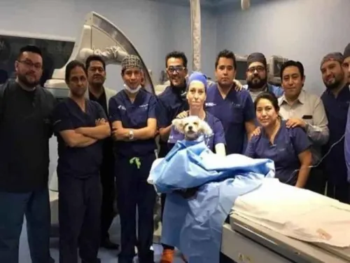 Colocan marcapasos a perrito en Puebla, el primero en México