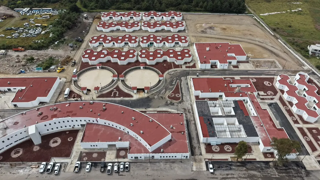 Célula de Bienestar Animal en Puebla alcanza 88% de avance; prevén concluirla en 3 a 4 semanas