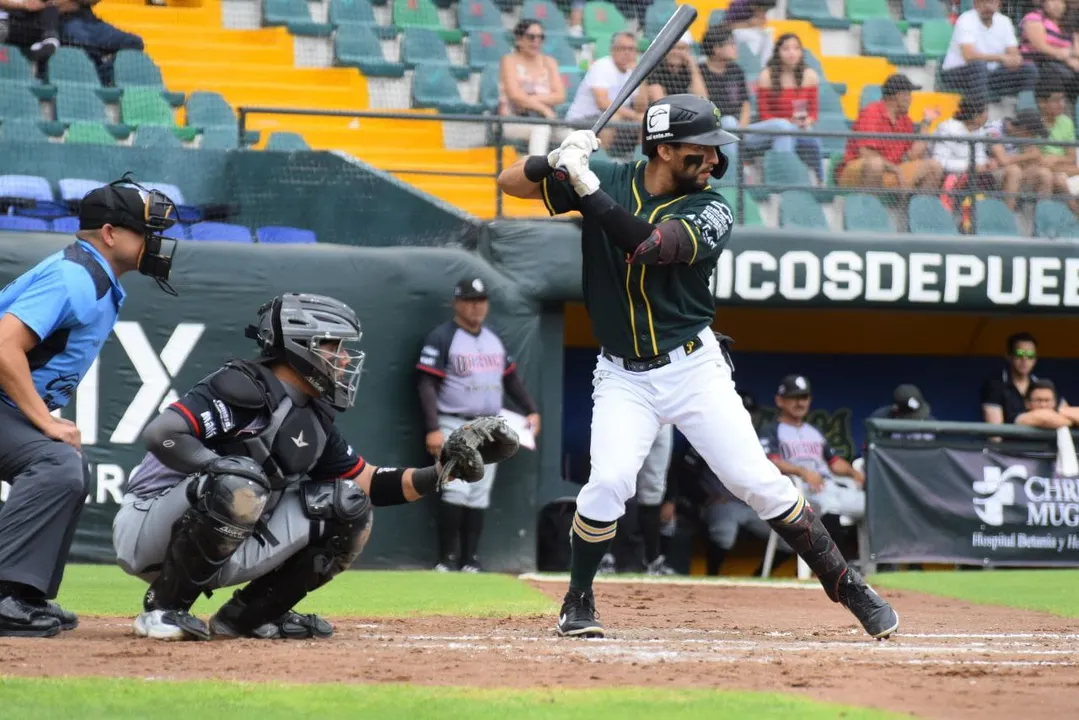 Pericos de Puebla