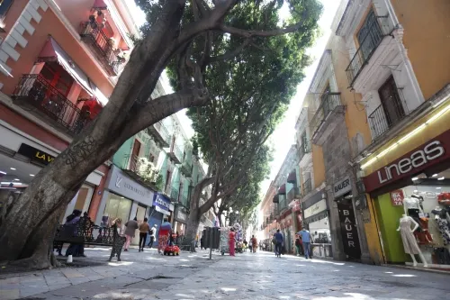 Espera Rivera Vivanco lograr permisos y arrancar obras en el corredor 5 de mayo