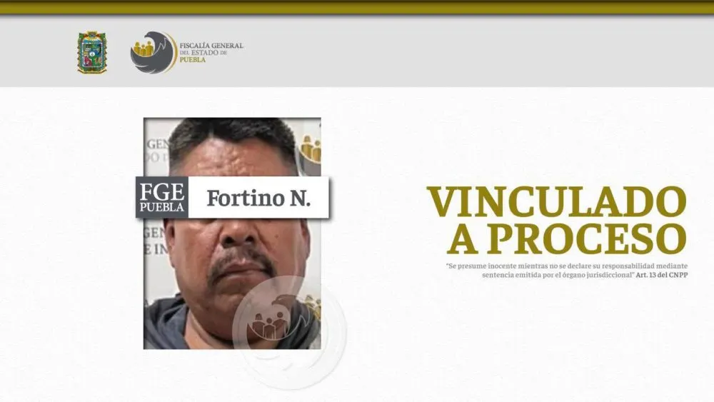 Fortino N