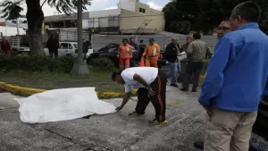 Darán seguro de vida para naranjita que murió atropellada