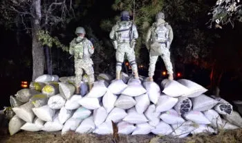 Operación Frontera Norte ha logrado asegurar más de 16 mil kilos de drogas