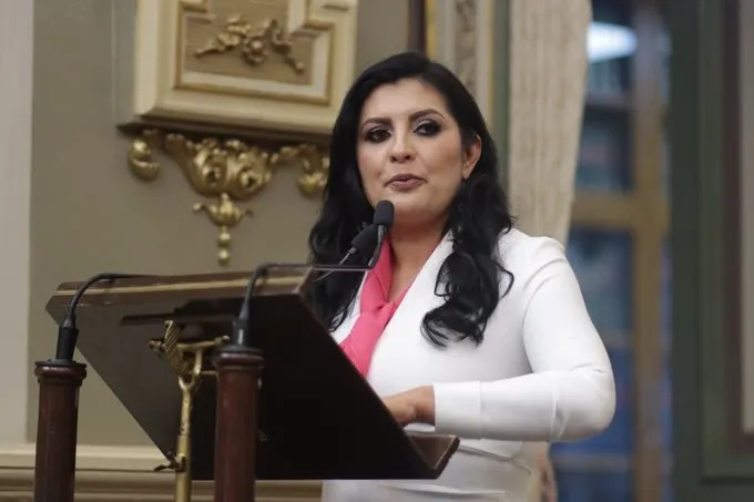 Delfina Pozos Vergara, diputada