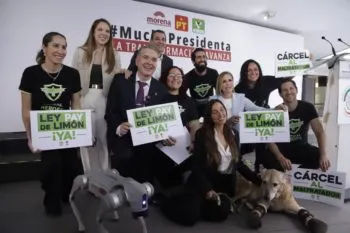 Pay de Limón, perrito mutilado por el crimen organizado, y Sofía Sisniega presentan iniciativa contra el maltrato animal