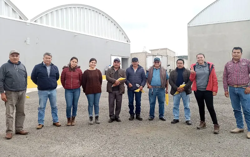 Productores de Higo
