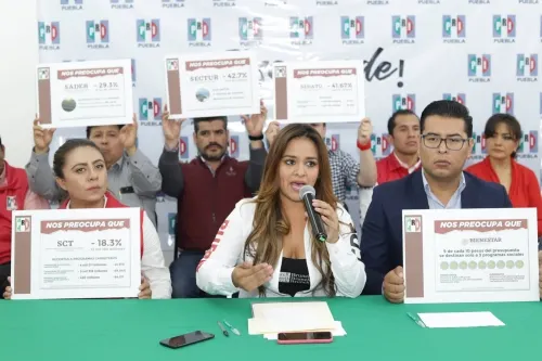 PRI califica de “insensible” Presupuesto Federal para 2020