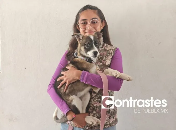 La Célula del Bienestar Animal cambiará a Puebla