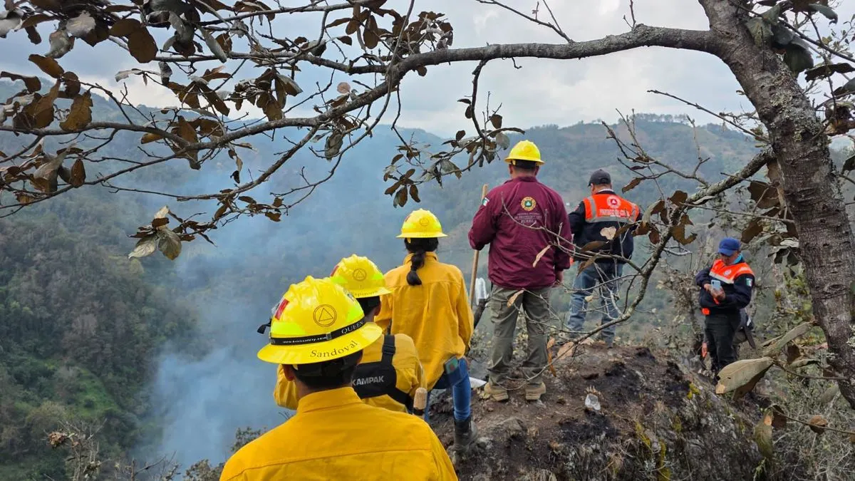 Gob Pue Incendios Forestales