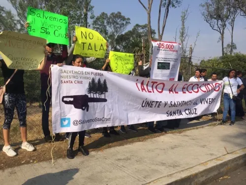 Vecinos de Santa Cruz Guadalupe protestan por la tala clandestina en El Vivero